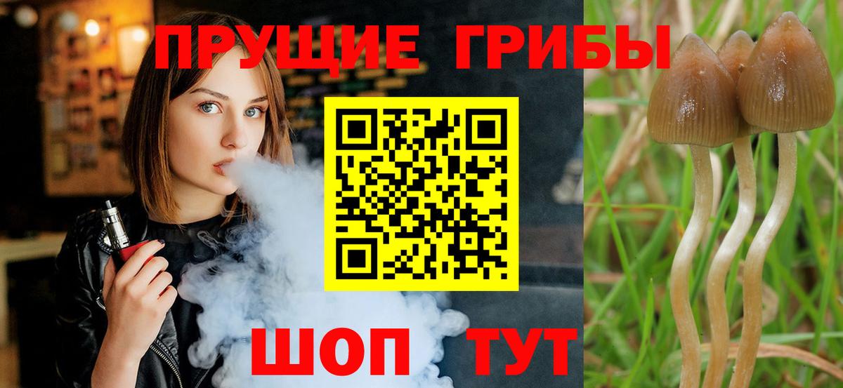 Псилоцибиновые грибы MAGIC MUSHROOMS Карабулак